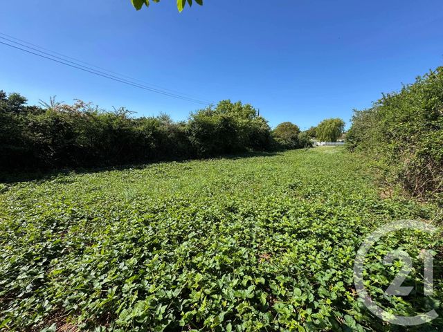 terrain à vendre - 807.0 m2 - GOUVILLE SUR MER - 50 - BASSE-NORMANDIE - Century 21 Royer Immo