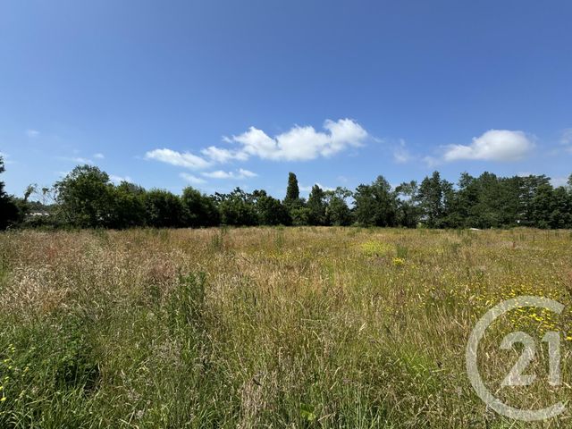 Afficher la photo en grand terrain à vendre - 425.0 m2 - GOUVILLE SUR MER - 50 - BASSE-NORMANDIE - Century 21 Royer Immo