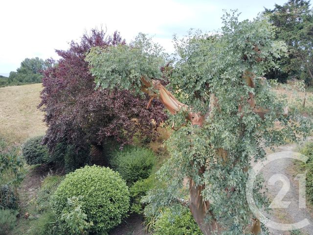 Afficher la photo en grand maison à vendre - 5 pièces - 86.5 m2 - ST PAIR SUR MER - 50 - BASSE-NORMANDIE - Century 21 Royer Immo